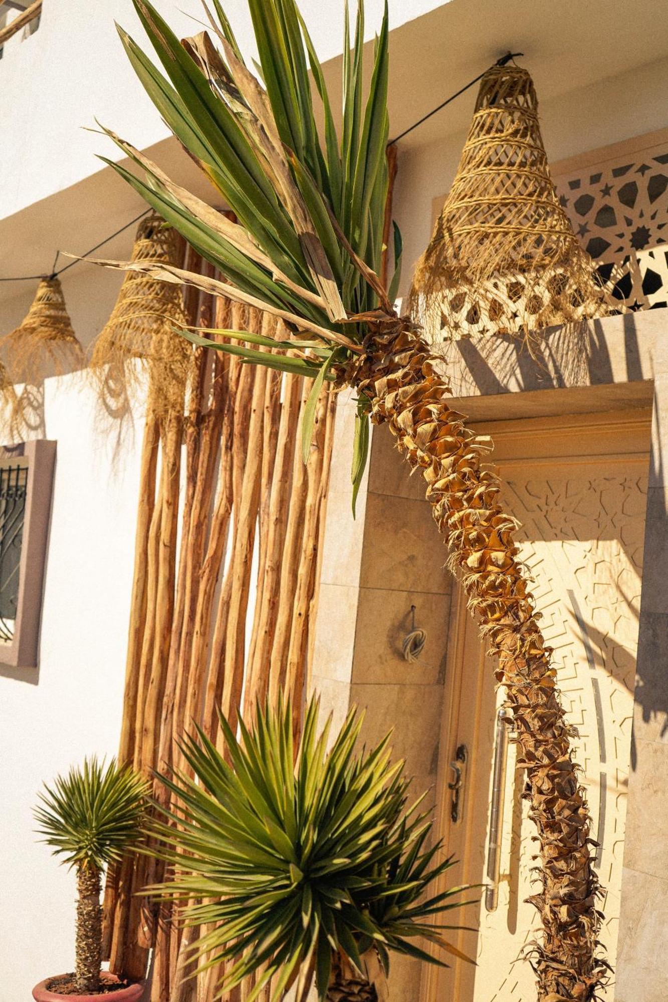 Wild Surf Morocco Bed & Breakfast Tamraght Bagian luar foto